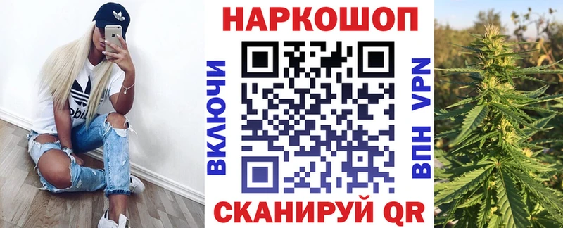  COCAIN Новодвинск