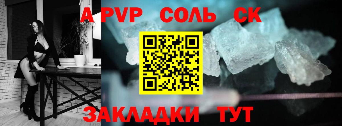 Альфа ПВП СК Новодвинск