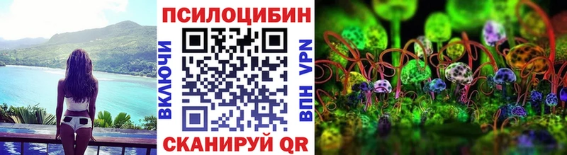МЕГА вход закладки Новодвинск Галлюциногенные грибы мицелий