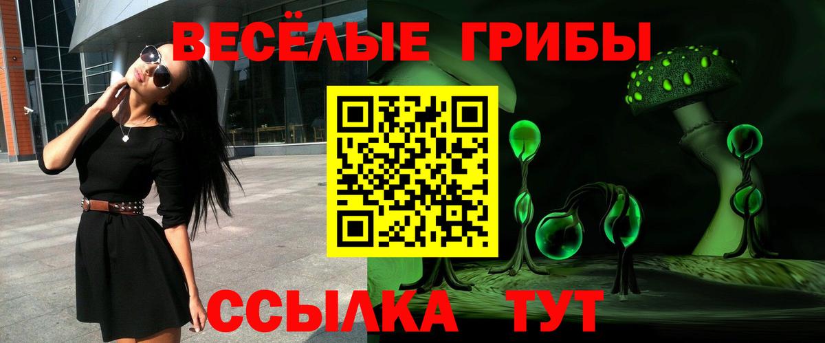 Новодвинск  Псилоцибиновые грибы ЛСД  Вход с VPN  Псилоцибиновые грибы прущие грибы 